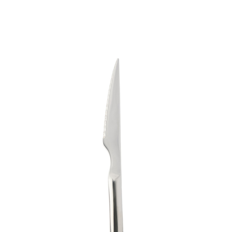 Couteau à steak 22,4 cm Shark Pro.mundi