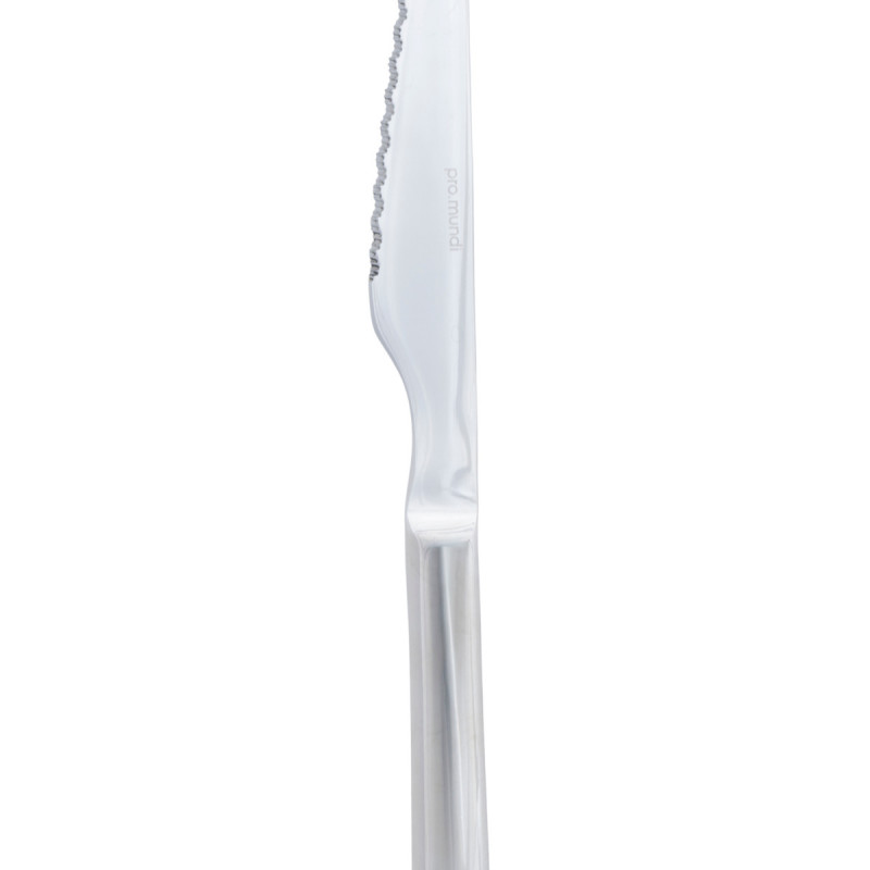 Couteau à steak 22,4 cm Shark Pro.mundi