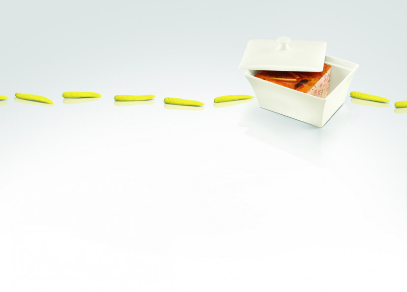 Terrine rectangulaire ivoire porcelaine vitrifiée 19,5x15 cm Allspice Rak