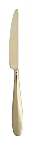 Couteau à dessert monobloc cranté or 21,5 cm Anzo Pvd Champagne Eternum