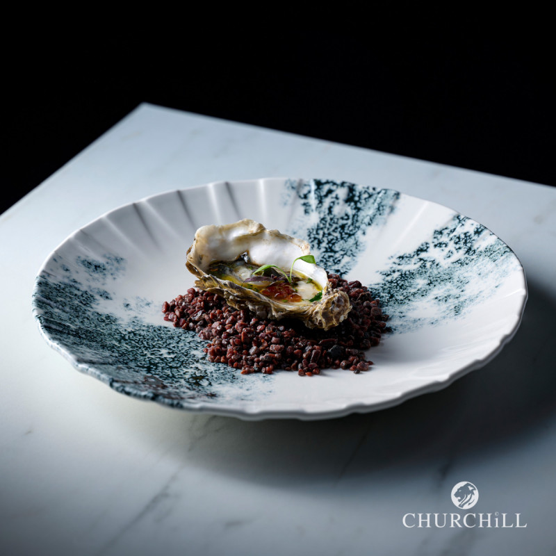 Assiette coupe plate porcelaine vitrifiée Ø 23,5 cm Smoke Churchill