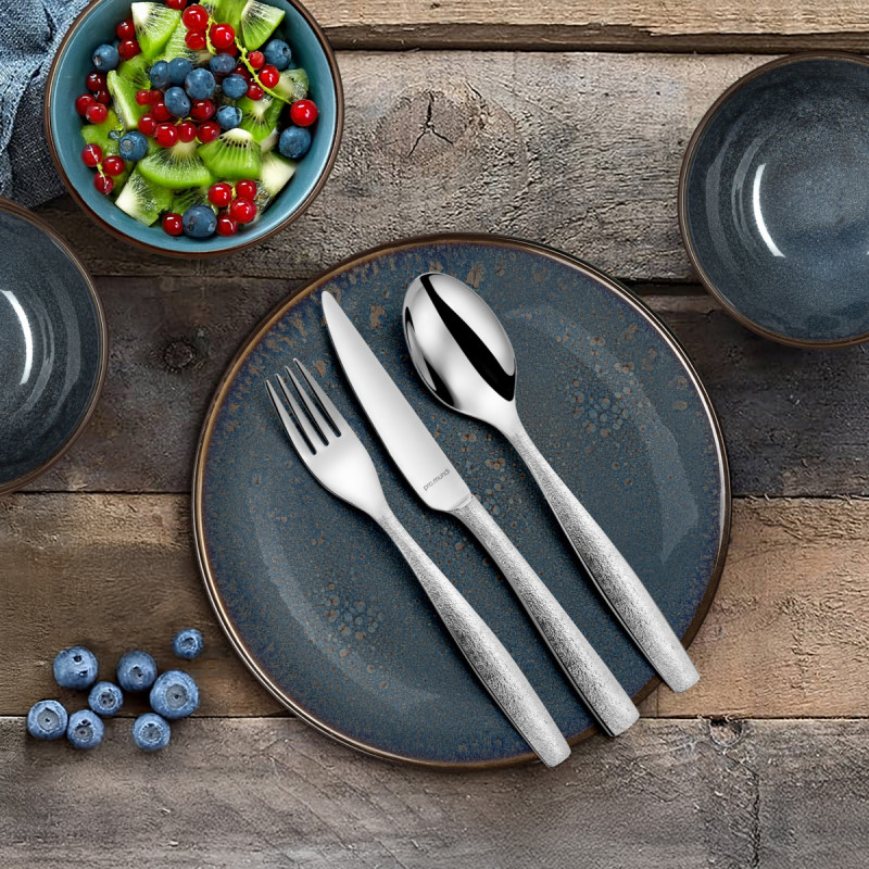Cuillère de table inox 18/0 20 cm Odyssee Ice Pro.mundi